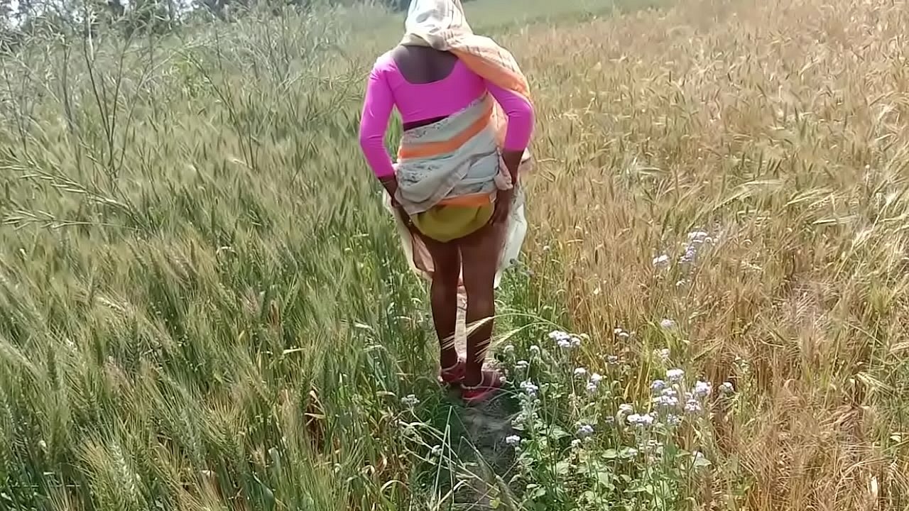 देसी भाभी के खेत में चोद देनी