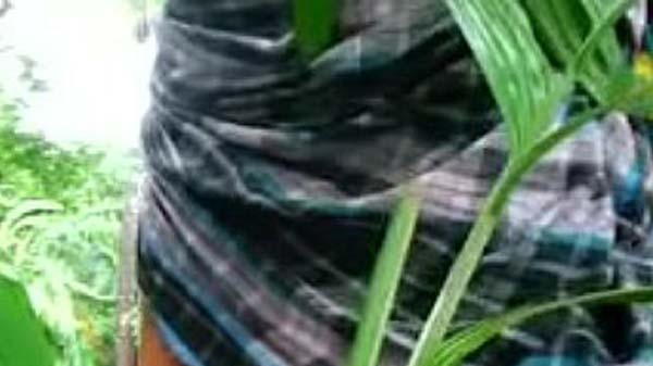 खेत में सेक्सी लड़की के चोदाई