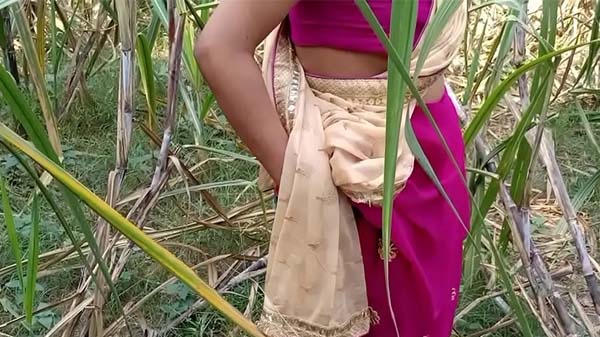 गन्ने के खेत में बिहारी भाभी के चोदाई