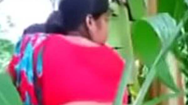 विलेज भाभी के जंगल में चोदाई