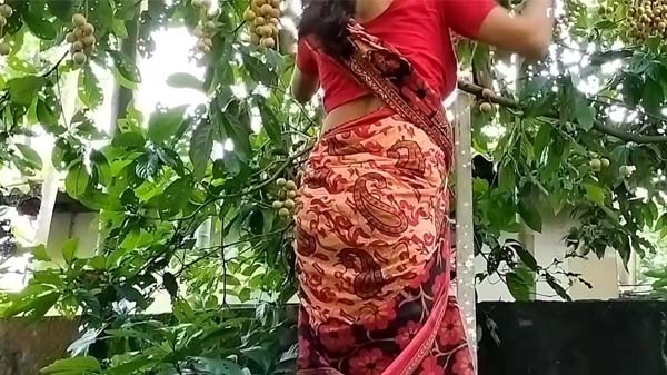 गार्डन में बीवी के चोदाई