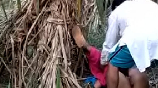 भौजी के चोदाई खेत में