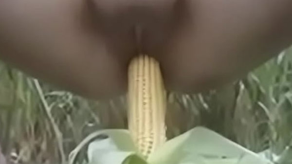 सेक्सी भाभी मकई गांड में डालत बारी