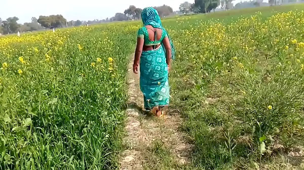 देहात के भाभी के साथ खेत में सेक्स