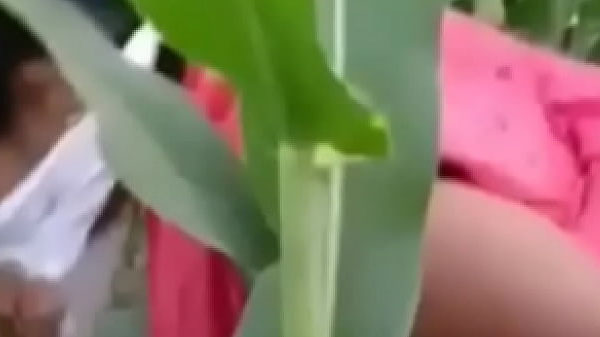 सेक्सी भाभी खेत में चोदवावत बारी