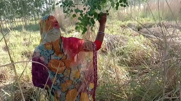 सेक्सी रंडी खेत में चोदवावत बिया