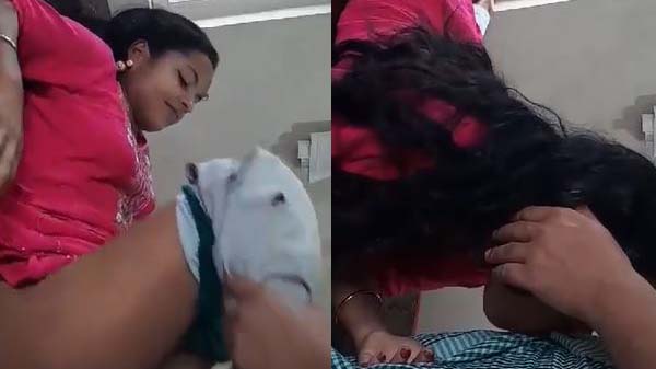 देहाती लड़की के हार्डकोर चोदाई के विडियो