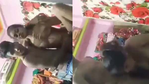 भाई बहन आपन रूम में सेक्स करत बा