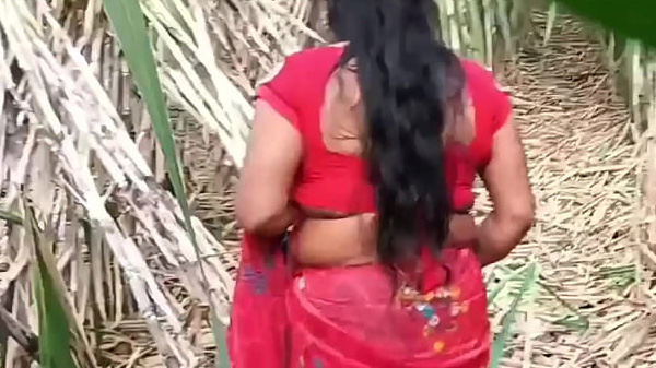 बँसवारी में चाची के चुदाई