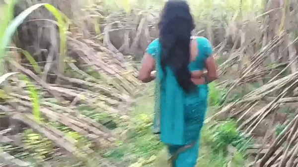 गन्ना के खेत में विलेज भाभी के चुदाई