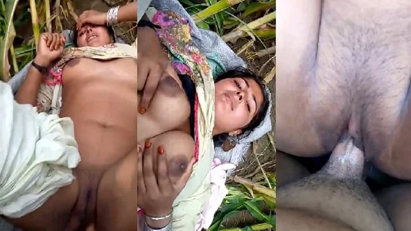 विलेज सेक्सी भाभी हिना के बुर चोदाई खेत में